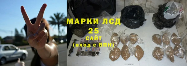 гашик Верея