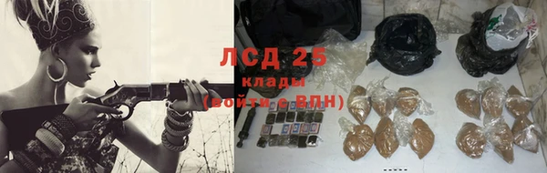 гашик Верея
