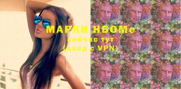 гашик Верея