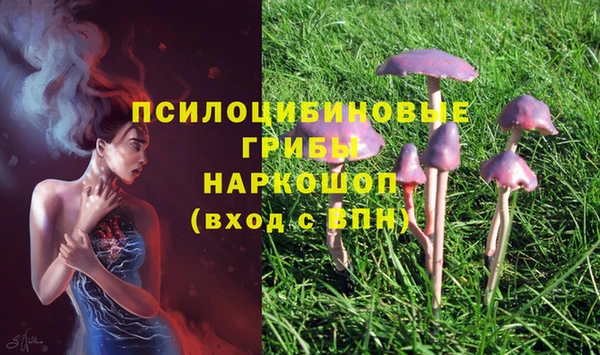 МДПВ Верхний Тагил