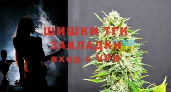 МДПВ Верхний Тагил