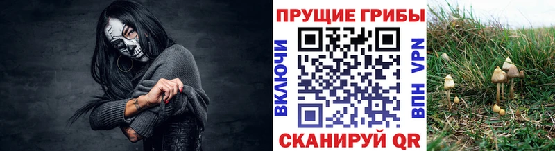 Псилоцибиновые грибы GOLDEN TEACHER  наркошоп  Жуковский 