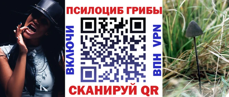 Псилоцибиновые грибы GOLDEN TEACHER Жуковский